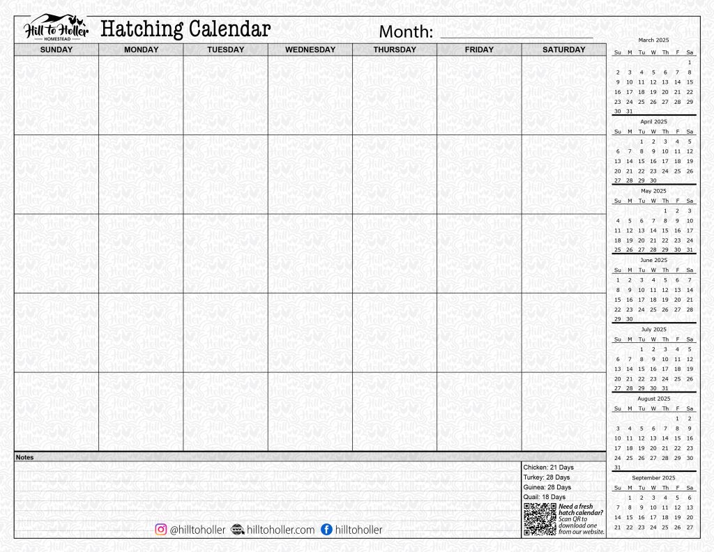 2025 Hill To Holler Hatching & Incubation Calendar - 5 Weeks